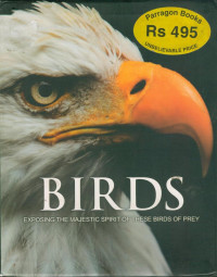 Image of Birds : Exposing The Majestic Spirit og These Birds of Prey