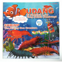 Image of Udang si Makhluk Laut yang Selalu Sembunyi